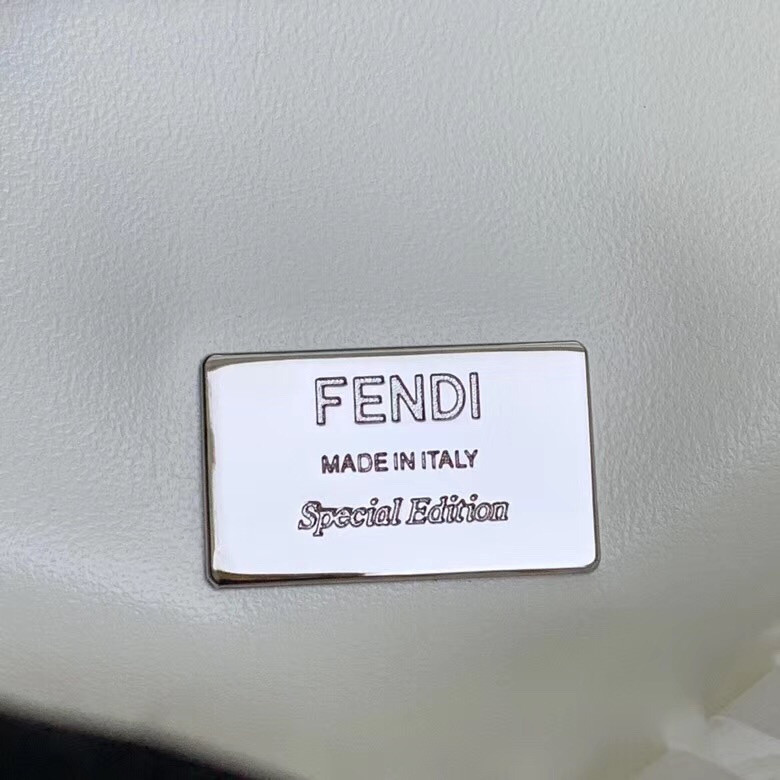 Fendi Bag