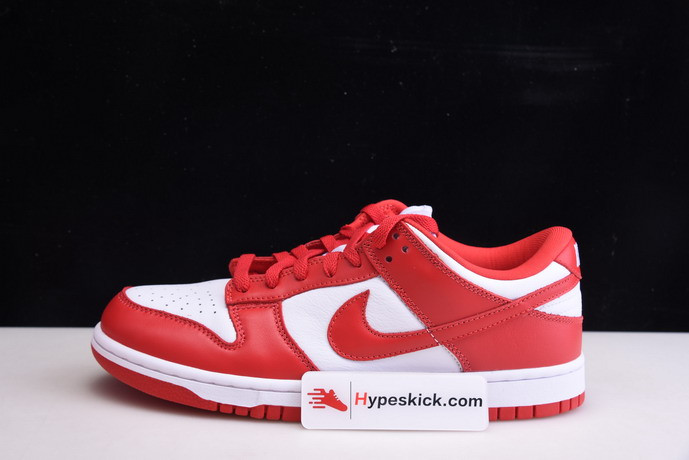 nike dunk low retro sp 