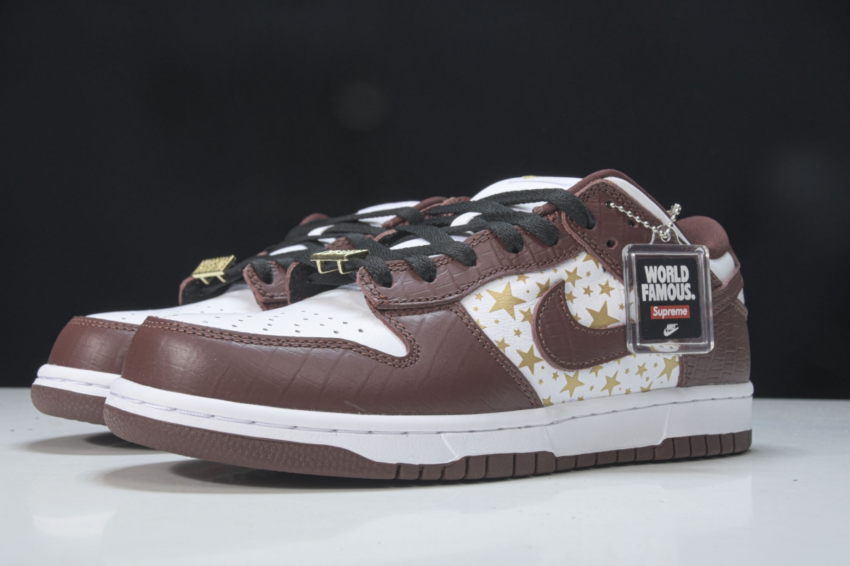 nike sb dunk low S*p*e stars barkroot brown (2021)