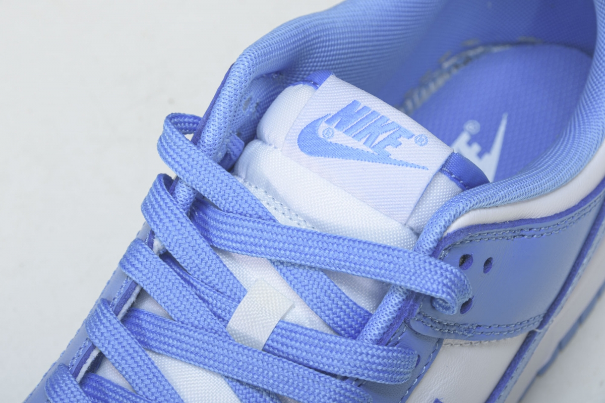 Nike Dunk Low UNC